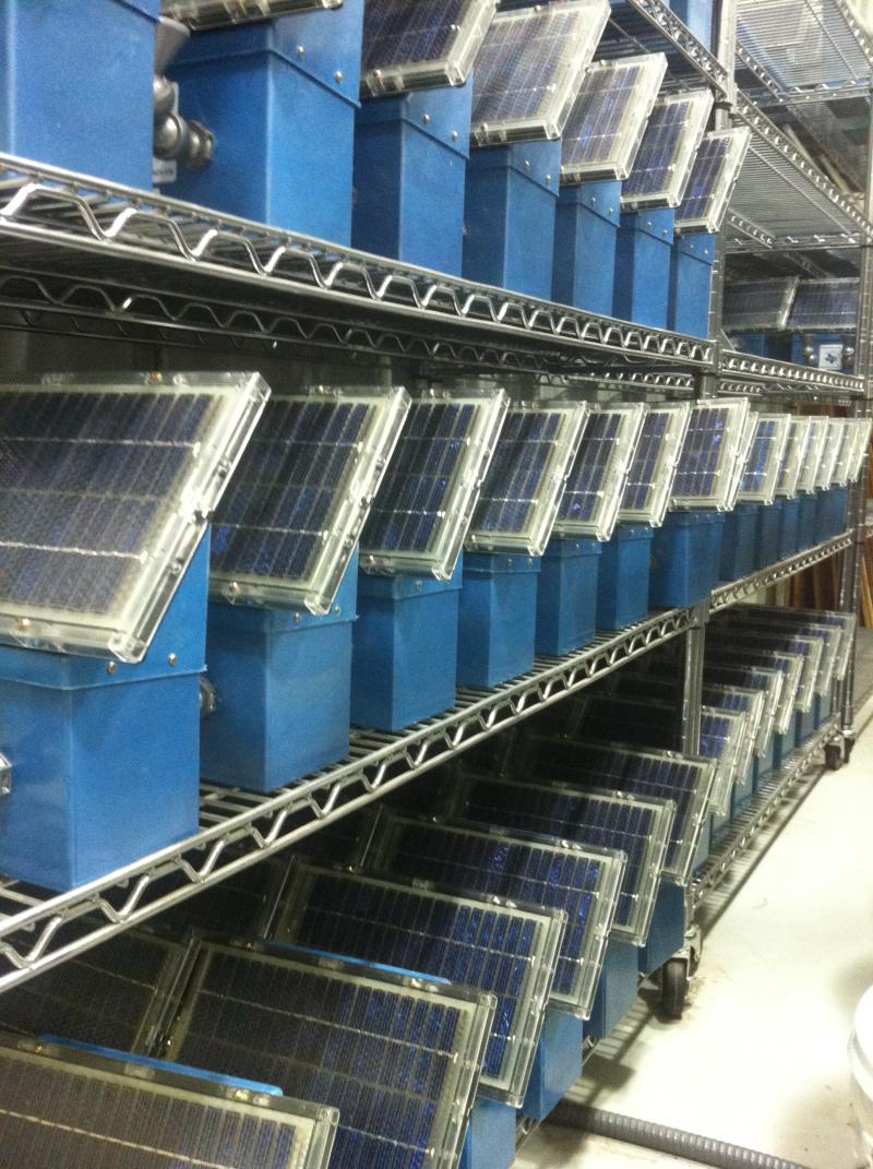 solar lights on shelf